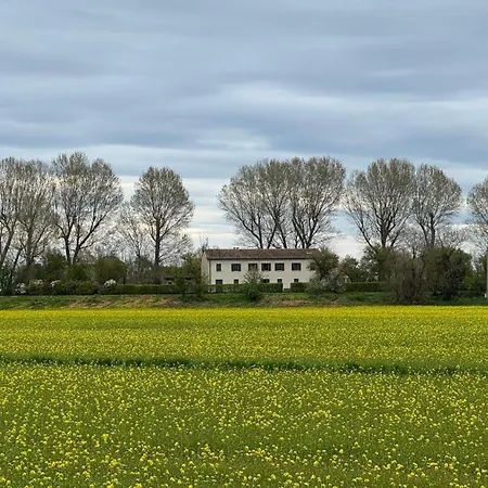 Ca'visentin